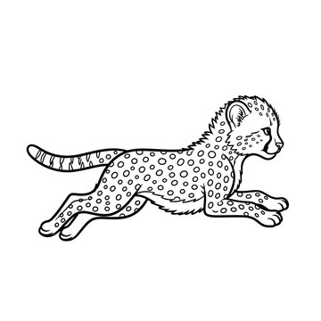 A black and white drawing of a cheetah running
