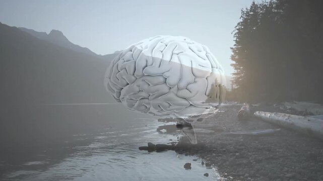 Animated brain emerging from waterline, drifting toward camera above lakeshore, illustrating health