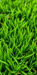 Close up of high quality artificial turf fibers, showing realistic texture and vibrant green color,  landscaping,  close
