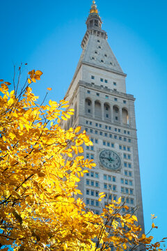 New York City, NY. USA New York clock tower with autumn leaves Manhattan architecture