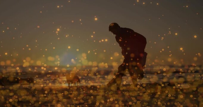 Man walking shoreline dusk, tending dog by reaching and leaning, golden bokeh overlay for creators