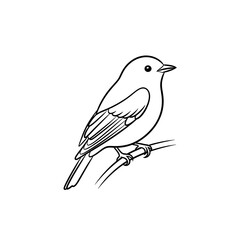 Obraz premium Simple outline drawing of a small bird perched on a thin branch, clean minimal style