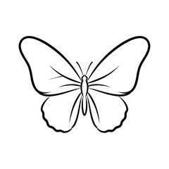 Fototapeta premium Hand-drawn butterfly outline, isolated on white, simple line art, elegant insect graphic