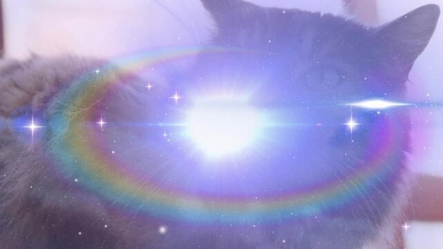 Tabby cat sitting near lamp, sparkles appearing, muzzle flare growing into rainbow bloom for design