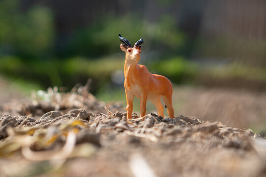 A small brown antelope figurine, likely a black antelope or gazelle. This toy is a Black Antelope, characterized by its distinctive horns.