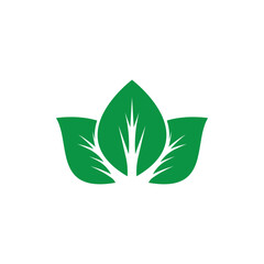 Obraz premium fresh leaf logo design for natural life