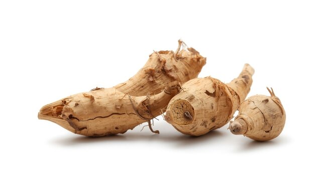 Clean White Background Displaying Acorus Calamus Root for Healing Purposes