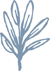 Fototapeta premium set of whimsical hand drawn flower, floral, leaves branch clipart collection