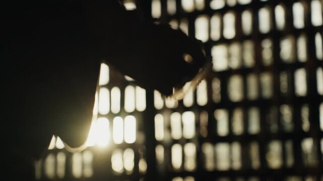 Silhouette of a person praying in a confessional booth