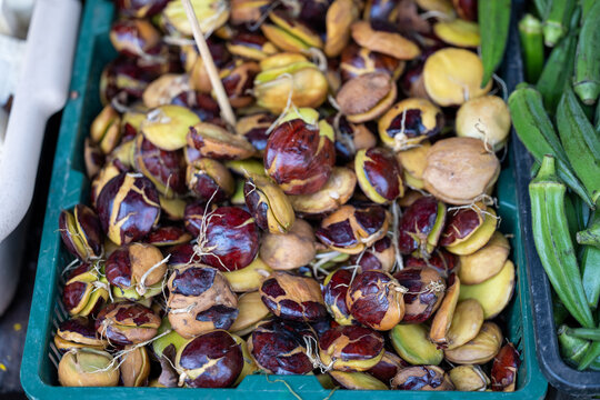 Fresh water chestnuts and vegetables at Bangkok wet market