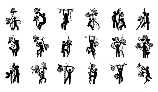 Stick figure climbing hydrangea creeper plant silhouettes botanical vine climbing icon collection