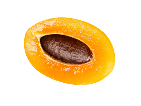 Marian plum