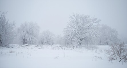 Obraz premium A freezing blizzard blankets a frosty snow covered landscape