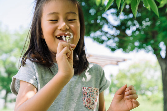 A young girl with a missing tooth smiles as she holds a dandelion puff near her face, enjoying a moment of childhood wonder outdoors.