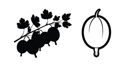 Black currant branch and single berry in stark contrast silhouette © Abir