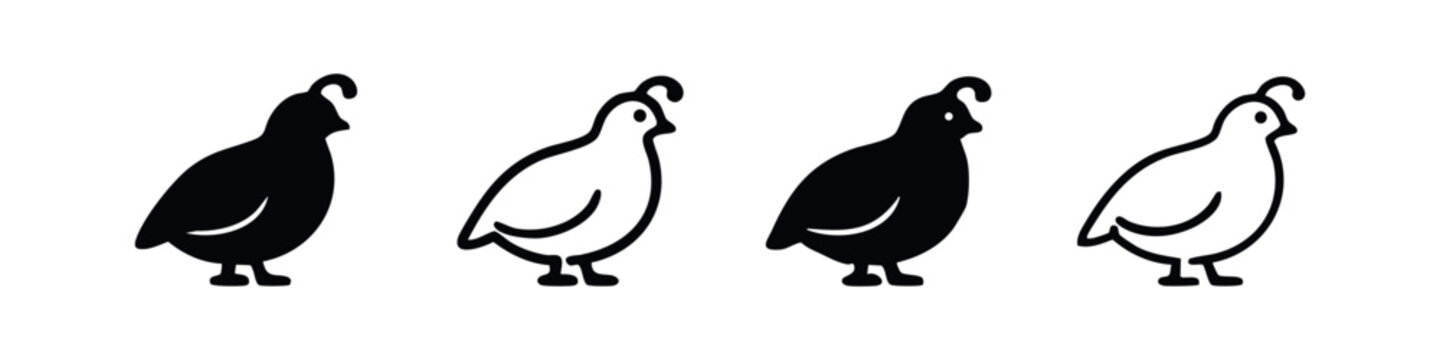 Quail Bird Icons Collection in Solid and Outline Versions, Farm Animal Design