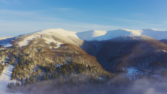 High snowy mountain covered with evergreen fir trees on a sunny cold day