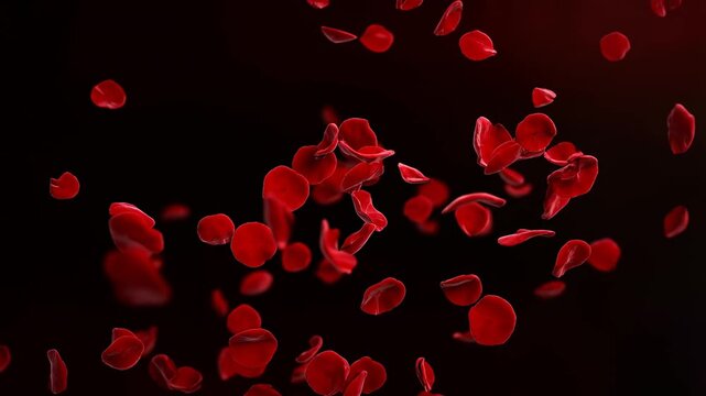 Slow motion tracking shot of red rose petals floating and tumbling against black studio background