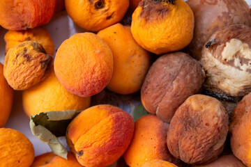 Rotten Moldy Apricots Close Up, Spoiled Organic Fruit Decay, Food Waste and Fungal Contamination...