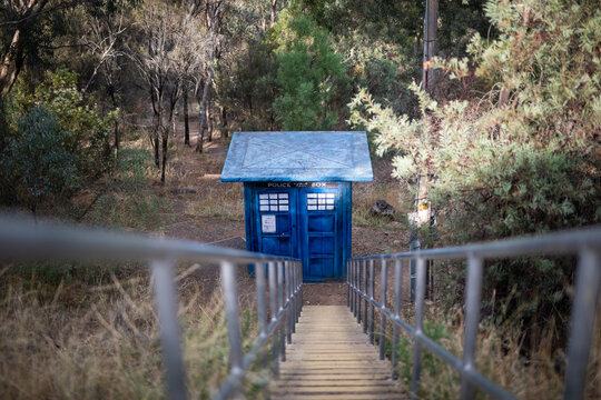 Blue Police Box Hidden Forest Stairs