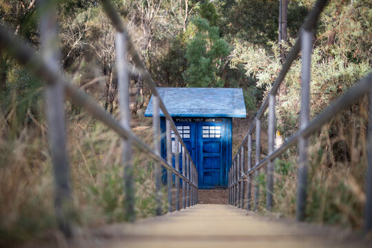 Blue Police Box Forest Path Adventure