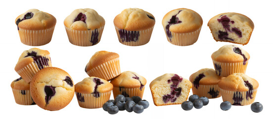 Fototapeta premium Assorted blueberry muffins on white background bakery