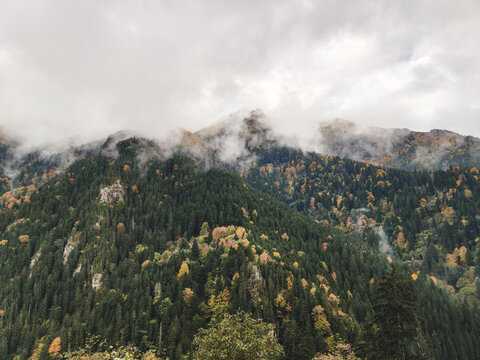 Panoramic view of Sumela Monastery in the fog
