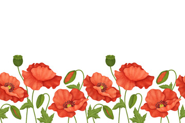 Obraz premium Watercolor Poppies Border