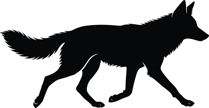 Wolf silhouette walking illustration, wild coyote or fox black and white predator vector, majestic forest animal profile for wildlife design.