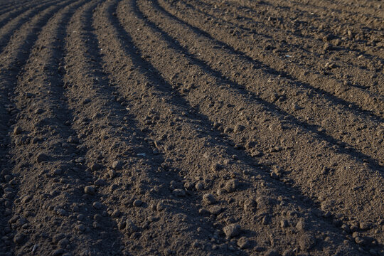 Agricultural field with parallel furrows in fertile soil