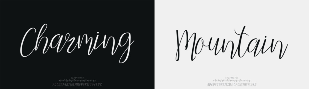 Charming Mountain, signature Font Calligraphy Logotype Script Brush Font Type Font lettering handwritten
