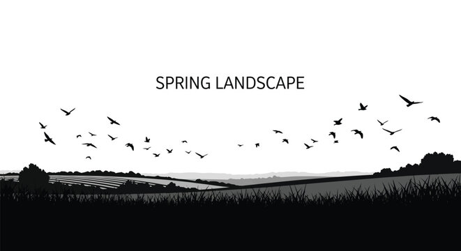 A beautiful black and white silhouette captures a serene spring landscape with gently rolling hills and vast open fields under a clear sky, where numerous birds gracefully soar, creating a tranquil an