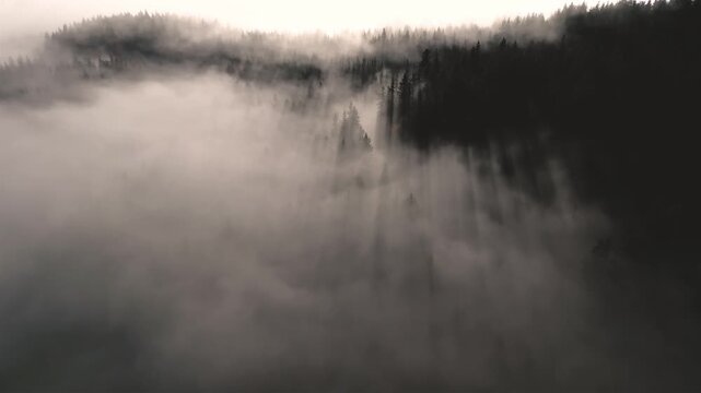 Aerial view of Dramatic Foggy Forest in Mysterious Sunny Morning