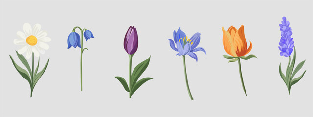 Vector banner with spring flowers including daisy, snowdrop, tulip, lavender and crocus. Botanical floral elements for seasonal design, greeting cards and decor. © Vita Monart