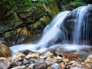 Small Waterfall in a Forest Stream