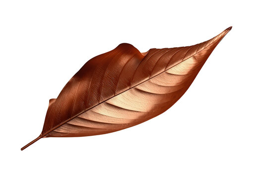 Bronze metallic leaf isolated on transparent background symbolizing luxury, nature, autumn, and decoration
