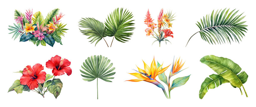 PNG Tropical watercolor floral illustrations on transparent background