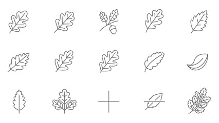Oak leaves and acorn set, natural autumn foliage icons, vector illustrations