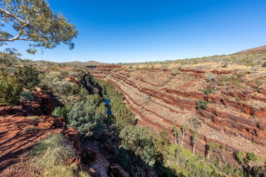 A deep red layered gorge with lush tree-lined creek below under a clear blue sky