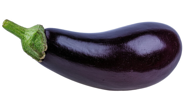 Isolated fresh dark purple eggplant with green stem, ripe and ready for cooking