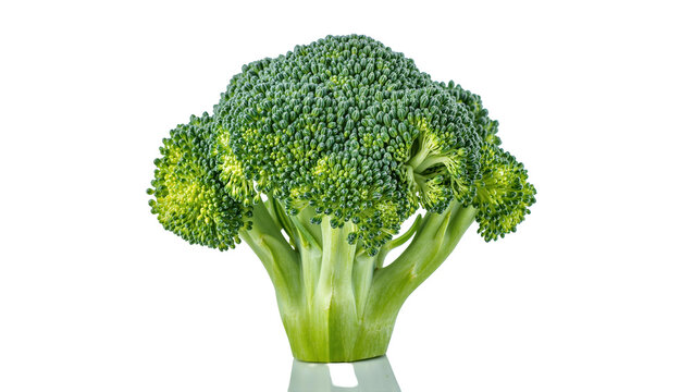 Isolated fresh green healthy broccoli floret with vibrant texture and stalks on reflective surface