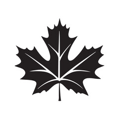 Fototapeta premium Maple leaf. Linear, silhouette isolated on white background. Vector illustration