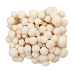 enoki mushroom path isolated on white top view