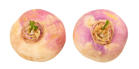 turnip path isolated on white top view