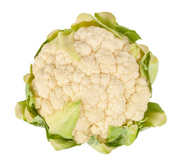cauliflower path isolated on white top view