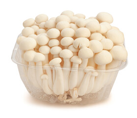 enoki mushroom path isolated on white