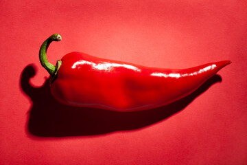 long sweet pepper on red background