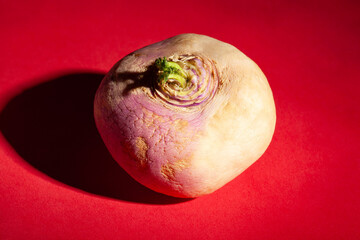 one turnip on red background