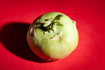 one kohlrabi on red background