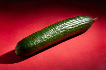 one cucumber on red background